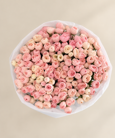 Blush & Ivory Spray Roses