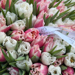 100 Pink & White Tulip Bouquet