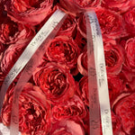 Pink Peony-Style Roses Bouquet (24 Stems)