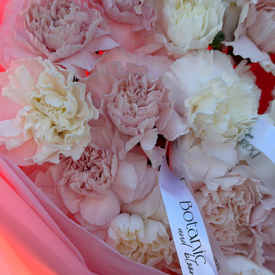 Pink & White Dianthus Bouquet