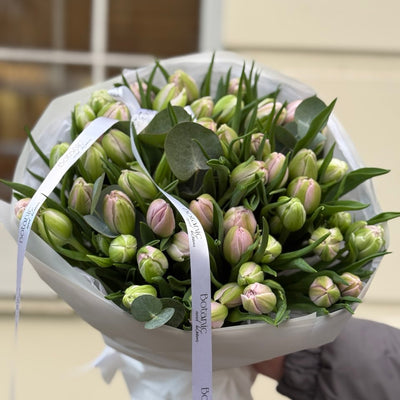 Tulips in Bloom – 50 Pink Beauties