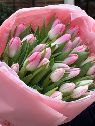 30 Pink Tulips Bouquet