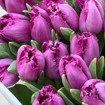 30 Purple Peony-Style Tulips Bouquet