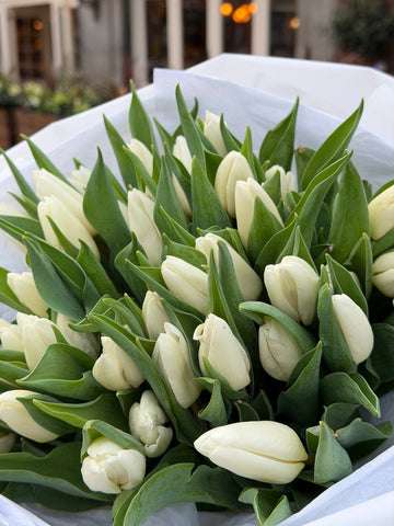 40 White Tulips Bouquet