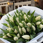 40 White Tulips Bouquet
