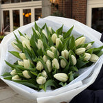 40 White Tulips Bouquet