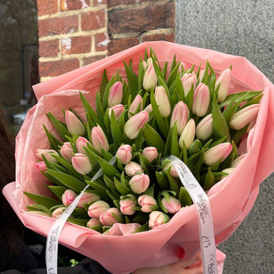 50 Soft Pink Tulips Bouquet