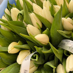 50 White Tulips Bouquet