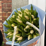 50 White Tulips Bouquet