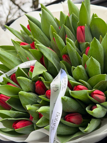 50 Red Tulips Bouquet